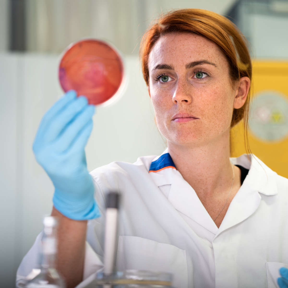 A woman observing a petri dish